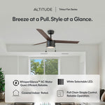 Load image into Gallery viewer, Tritour 44/52 in Pull Chain Ceiling Fan with Light in Matte Black / Dark Brown — motor and efficiency, feature overview, remote, control and pull chain