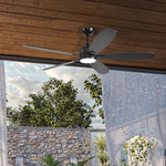 Load image into Gallery viewer, Dragonfly 56 in Matter Smart Ceiling Fan with Light in Matte Black / Blackened Oak / Dark Walnut — in-room lifestyle view