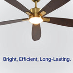 Load image into Gallery viewer, Dragonfly 56 in Matter Smart Ceiling Fan with Light in Champagne Bronze / Blackened Oak / Dark Cherry — light hardware detail