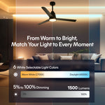 Load image into Gallery viewer, Solo 52 in Covered Outdoor Ceiling Fan with Light in Matte Black — lighting, colour temperature and lumens