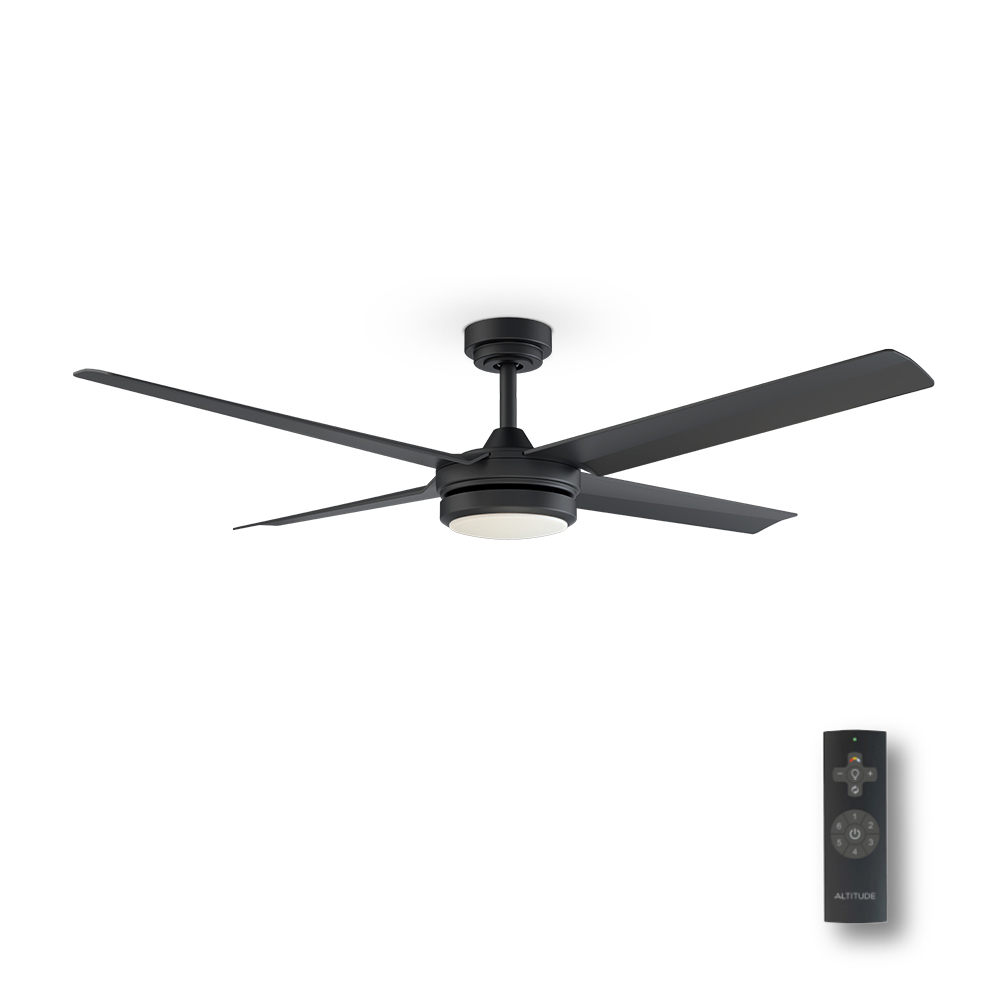 Laritza 56 in Covered Outdoor Ceiling Fan with Light