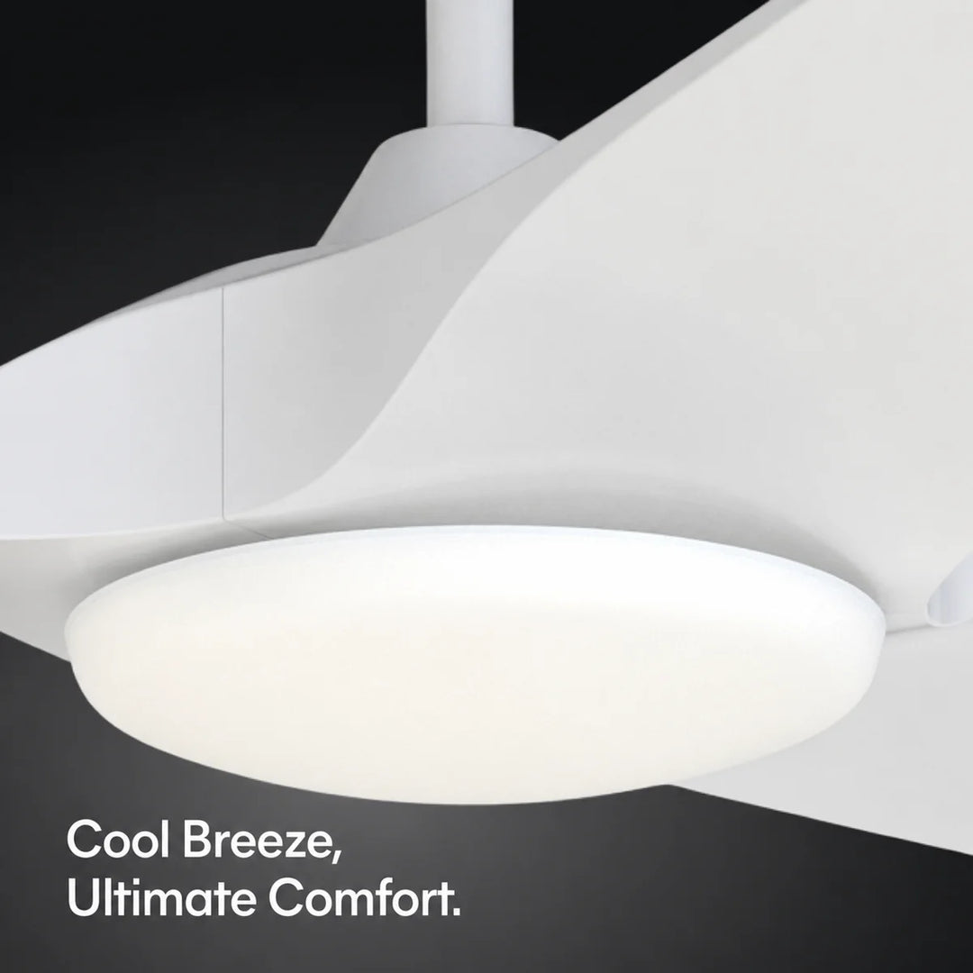 Gossamer 52/60 in Ceiling Fan with Light in Matte White — feature overview
