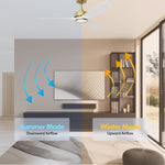 Load image into Gallery viewer, BOCA II 52 in Matter Smart Ceiling Fan with Light in Matte Champagne / Matte White — reversible summer and winter modes

