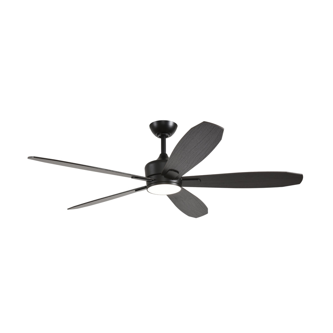 Dragonfly 56 in Matter Smart Ceiling Fan with Light