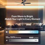 Load image into Gallery viewer, Dragonfly 56 in Matter Smart Ceiling Fan with Light in Matte Black / Blackened Oak / Dark Walnut — lighting, colour temperature and lumens
