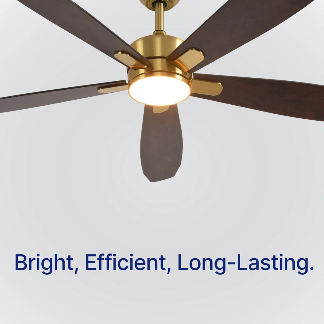 Dragonfly 56 in Matter Smart Ceiling Fan with Light in Champagne Bronze / Blackened Oak / Dark Cherry — light hardware detail