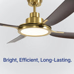 Load image into Gallery viewer, Sakai 56 in Matter Smart Ceiling Fan with Light in Matte Black / Dark Brown / Aged Bronze — light hardware detail
