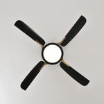 Load image into Gallery viewer, Sakai 56 in Matter Smart Ceiling Fan with Light in Matte Black / Aged Bronze — product / light view supplemental

