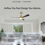 Load image into Gallery viewer, Trinity 52 in Matter Smart Ceiling Fan with Light in Matte Champagne / Dark Bronze — feature overview
