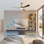Load image into Gallery viewer, Trinity 52 in Matter Smart Ceiling Fan with Light in Matte Champagne / Dark Bronze — reversible summer and winter modes
