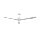 Load image into Gallery viewer, Troy 60 in Covered Outdoor Ceiling Fan with Light in Matte White — primary product photo
