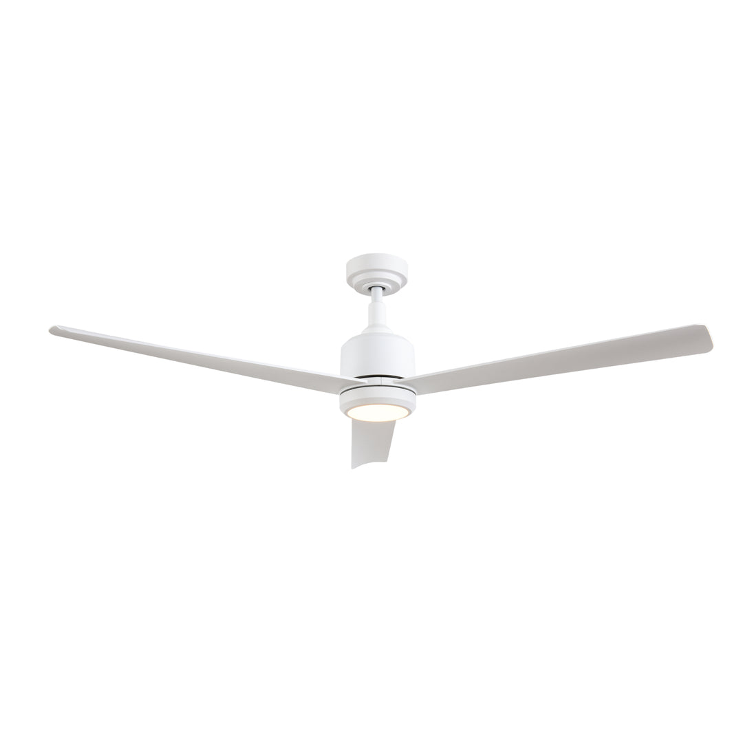 Troy 60 in Covered Outdoor Ceiling Fan with Light